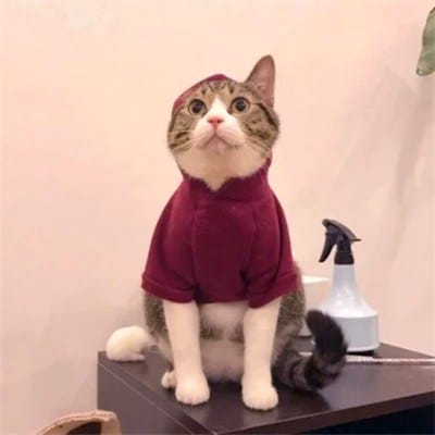 Công Phượng avatar