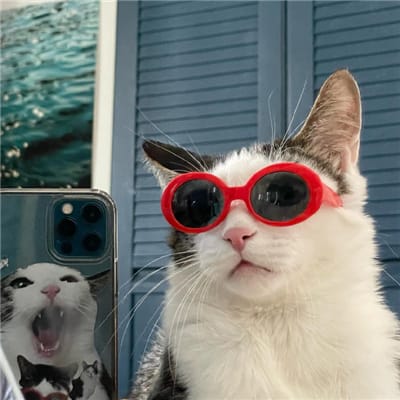 Gia Phát avatar